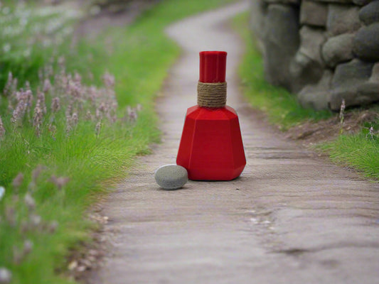 Skyrim Oblivion The Health potion bottle